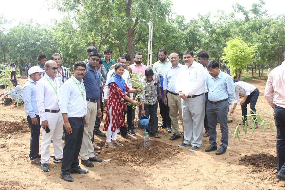 Ganpat University Mehsana Plantation photo 4