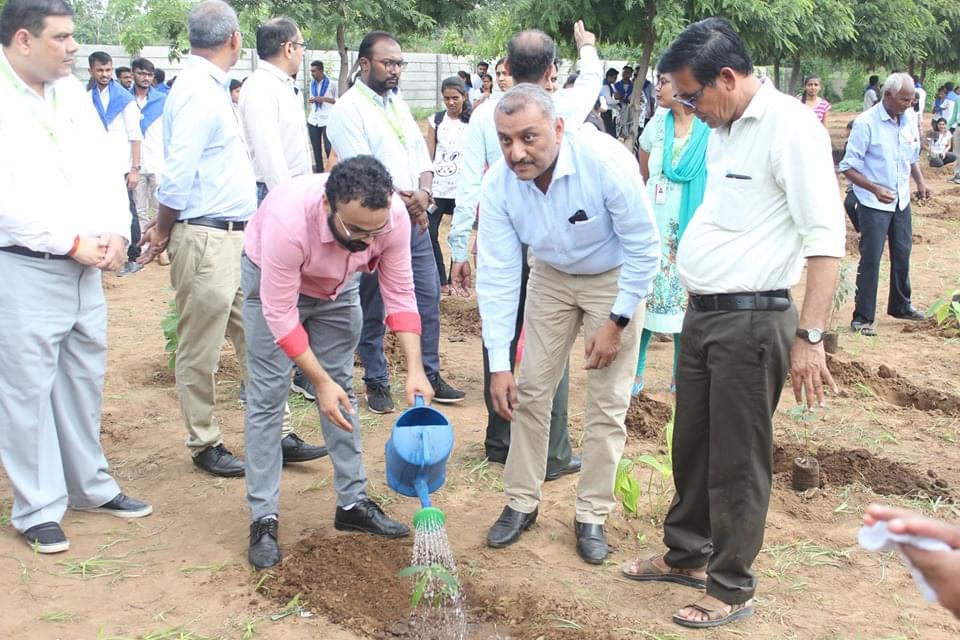 Ganpat University Mehsana Plantation photo 5