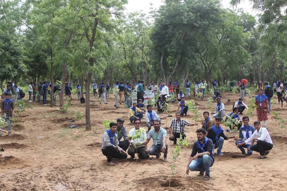 Ganpat University Mehsana Plantation photo 7