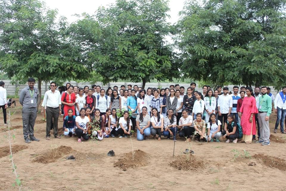 Ganpat University Mehsana Plantation photo 8