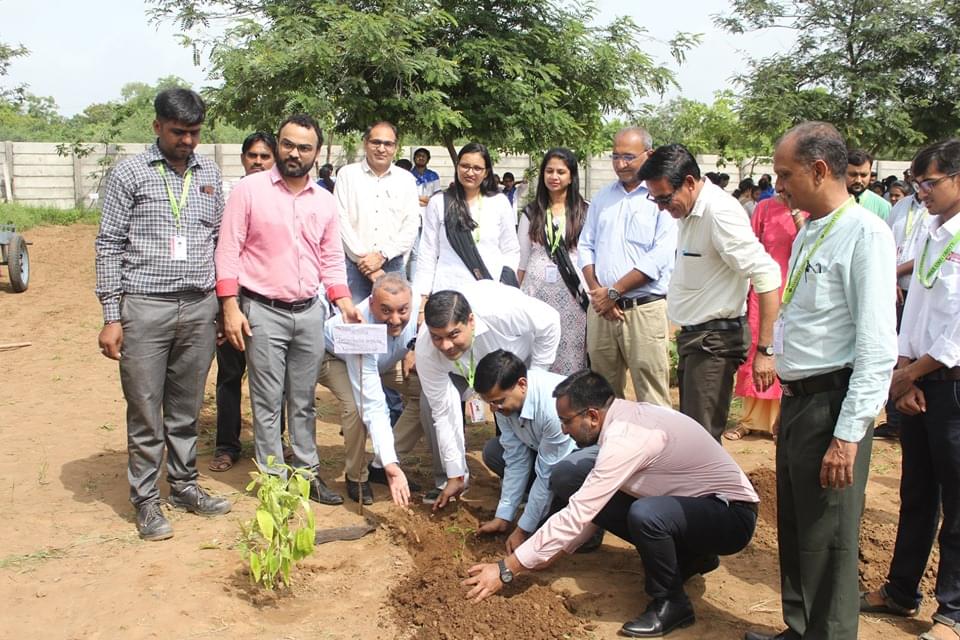 Ganpat University Mehsana Plantation photo 9