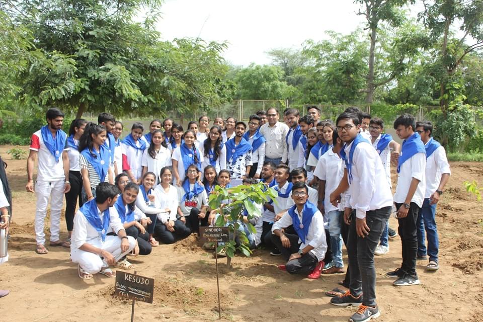 Ganpat University Mehsana Plantation photo 10