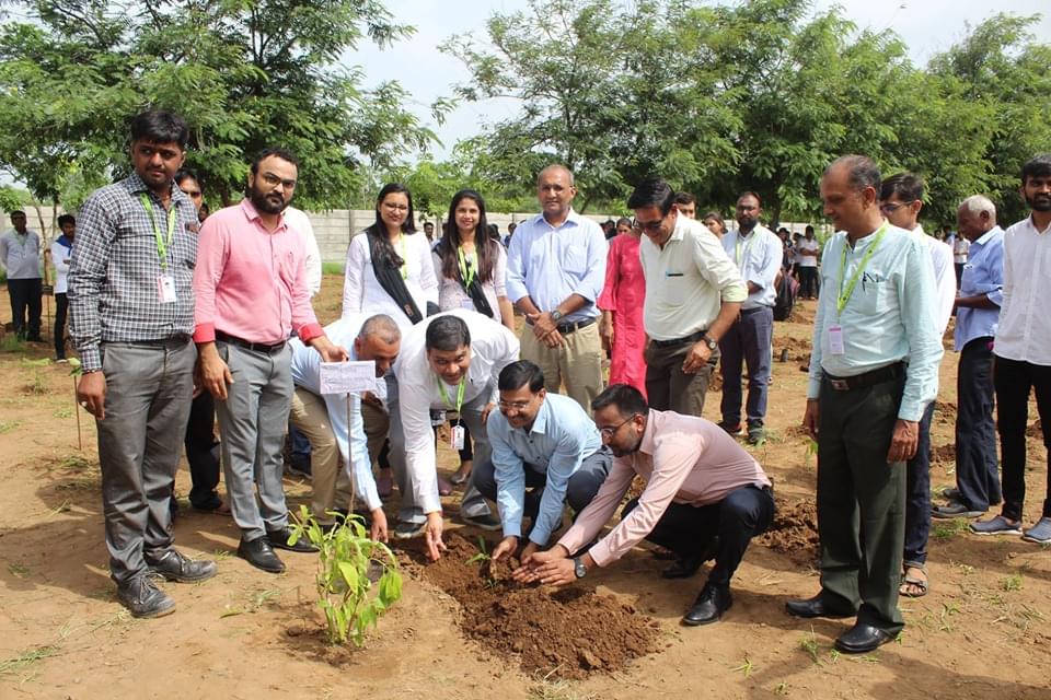 Ganpat University Mehsana Plantation photo 11