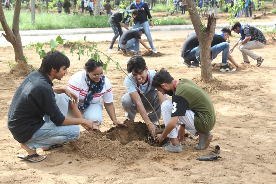 Ganpat University Mehsana Plantation photo 12
