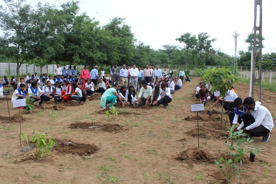 Ganpat University Mehsana Plantation photo 13