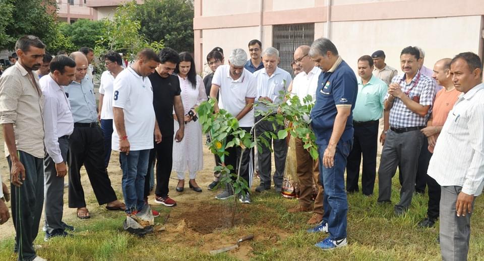 MDU Plantation photo 1