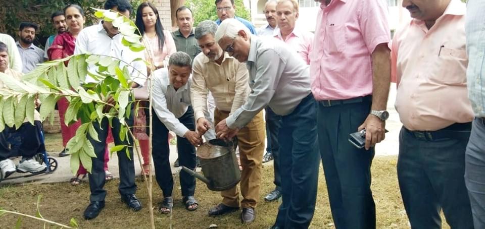 MDU Plantation photo 2