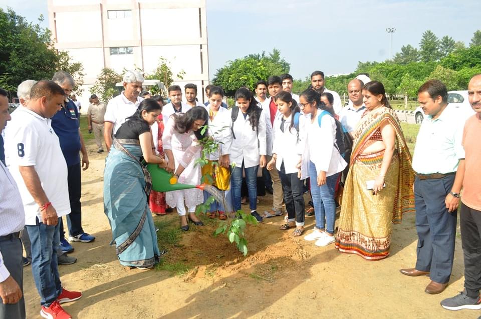 MDU Plantation photo 3