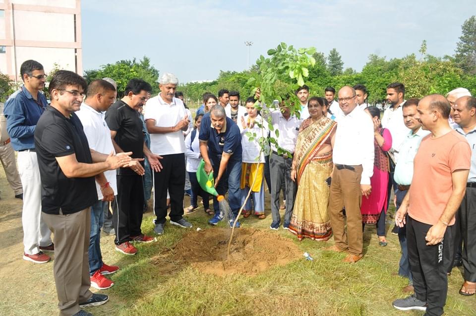 MDU Plantation photo 4