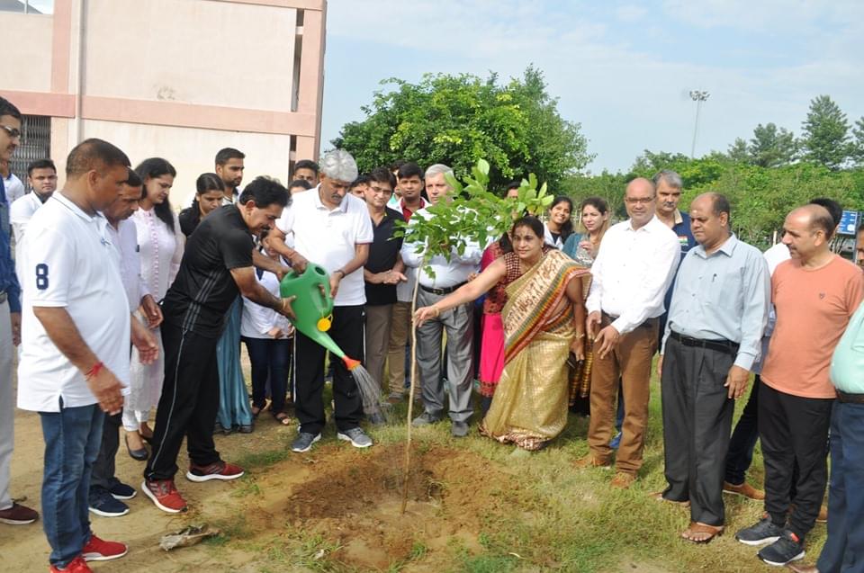 MDU Plantation photo 5