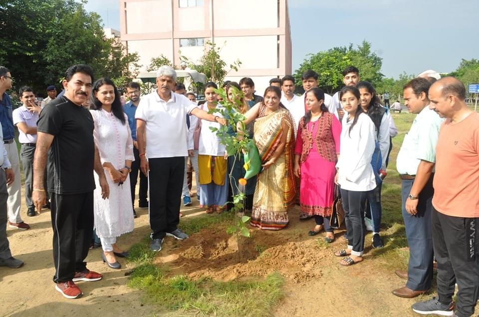 MDU Plantation photo 6