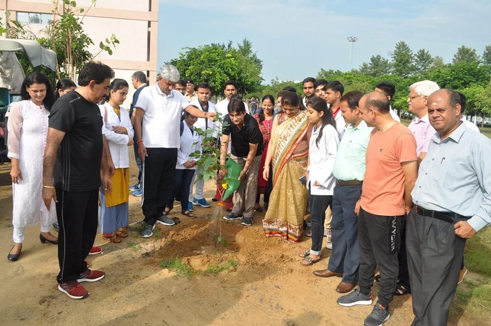 MDU Plantation photo 7