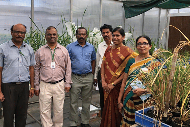 Thiruvalluvar University Vellore Extra-Curricular Activities photo 7