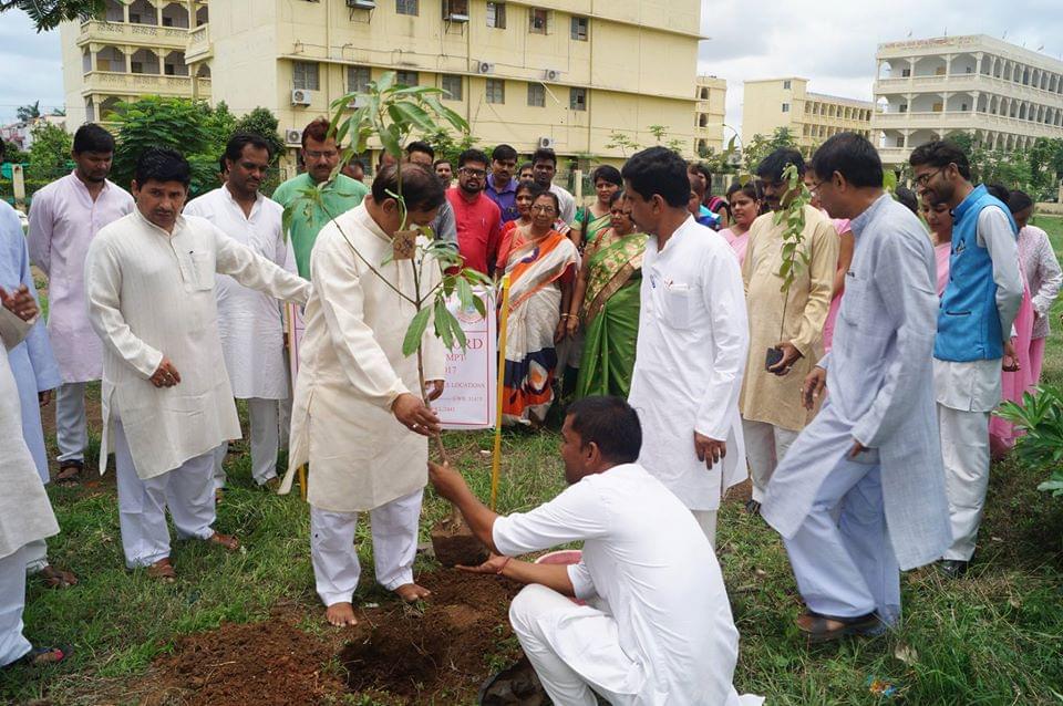 DDE MMYVV Plantation photo 1