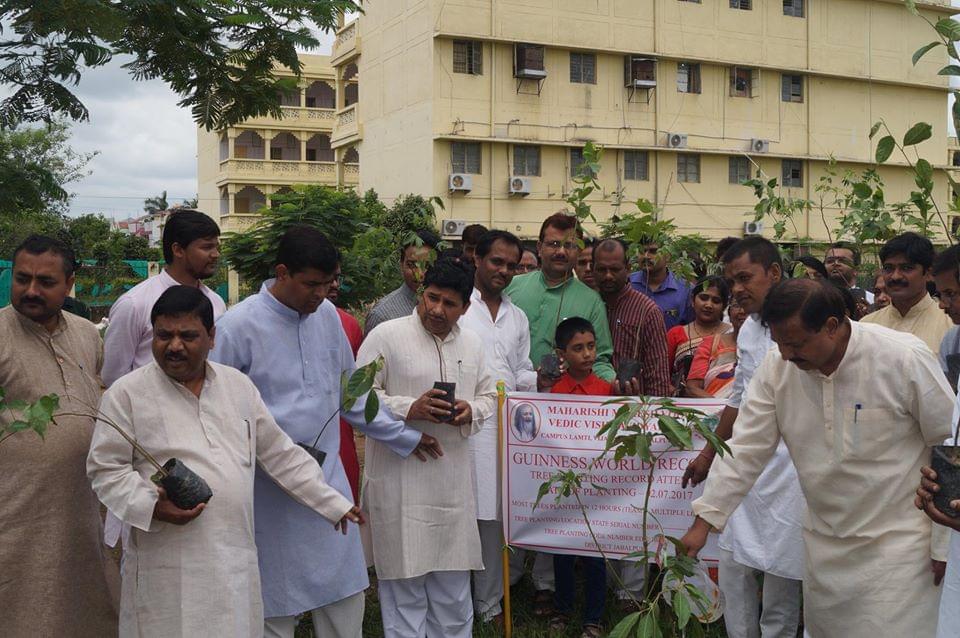 DDE MMYVV Plantation photo 2