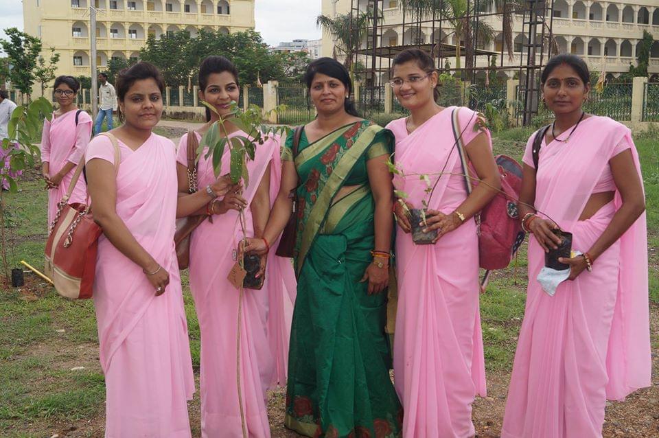 DDE MMYVV Plantation photo 3