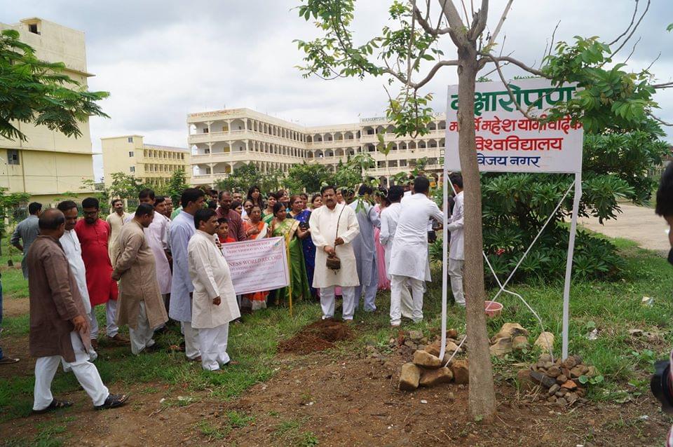 DDE MMYVV Plantation photo 4