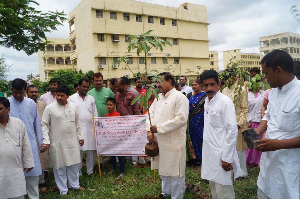 DDE MMYVV Plantation photo 5