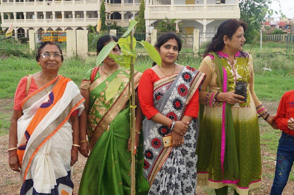 DDE MMYVV Plantation photo 6