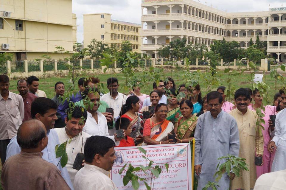 DDE MMYVV Plantation photo 7