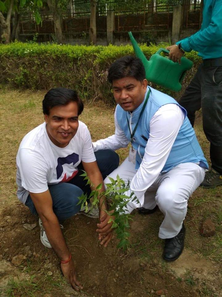 NIET Noida Plantation photo 1