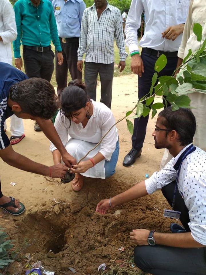 NIET Noida Plantation photo 2