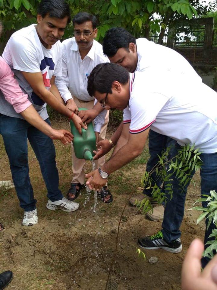NIET Noida Plantation photo 3