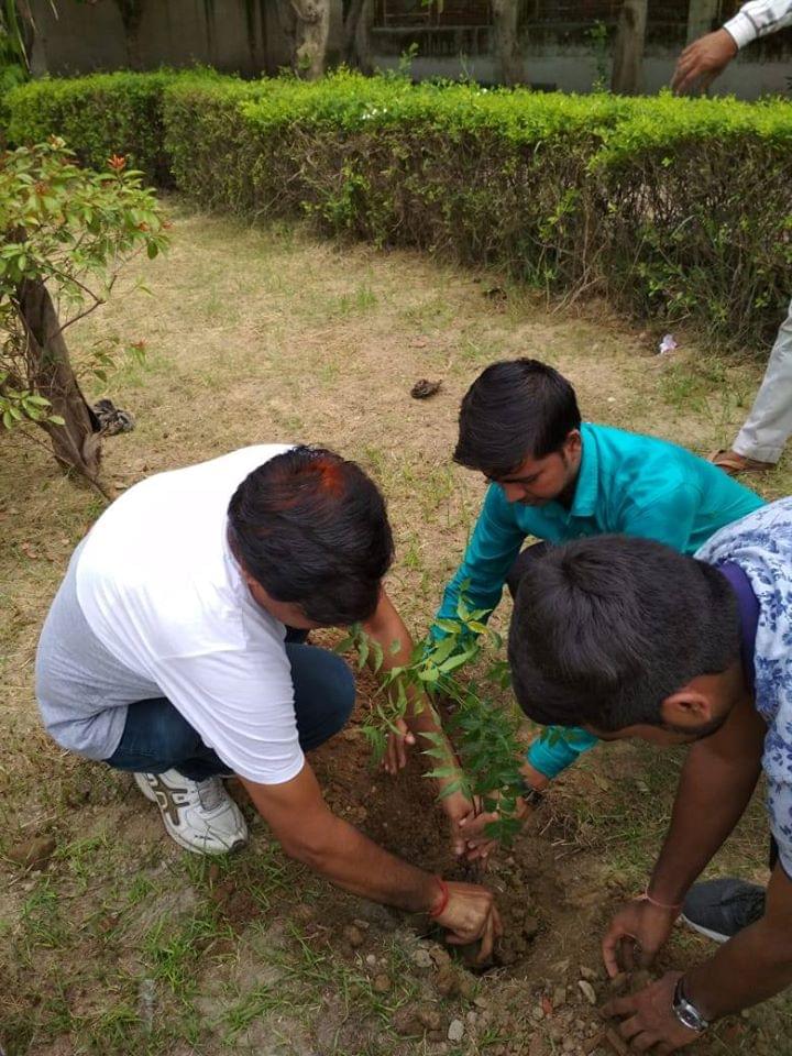 NIET Noida Plantation photo 4