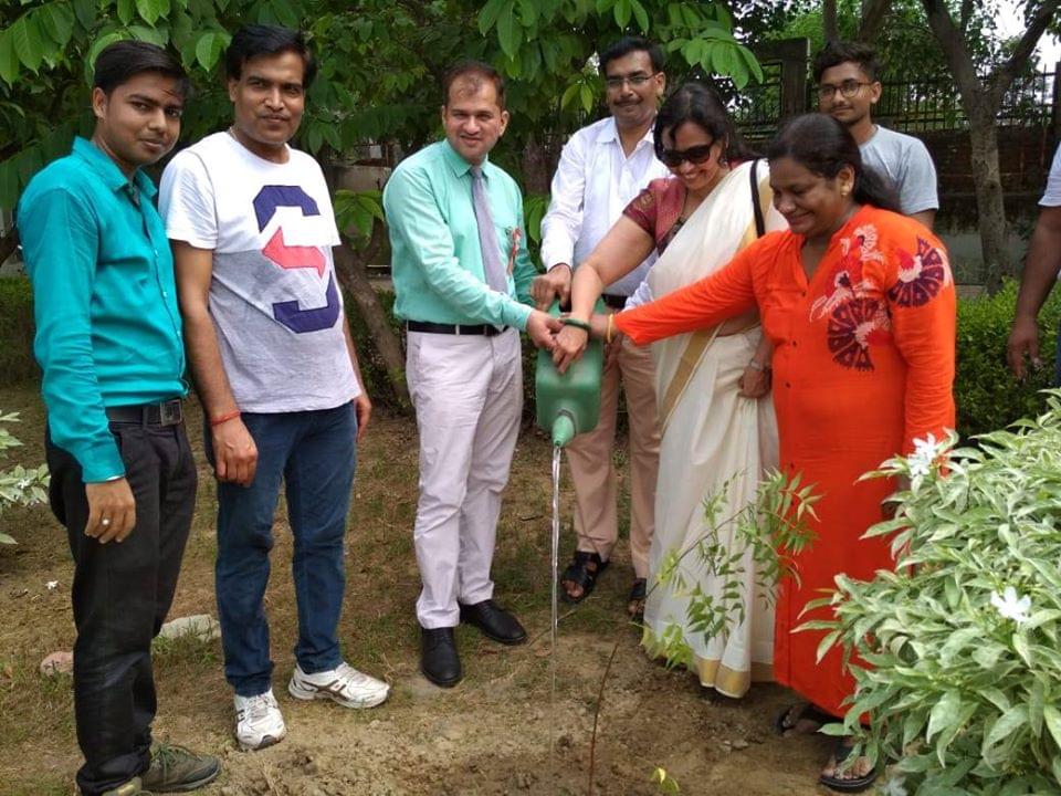 NIET Noida Plantation photo 6