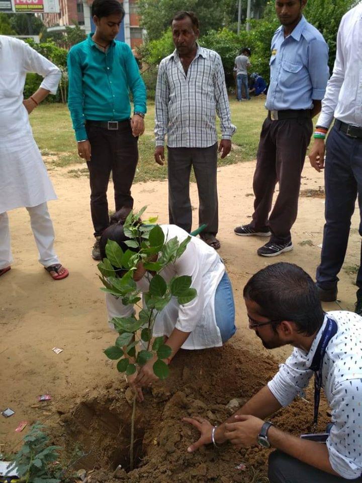 NIET Noida Plantation photo 8