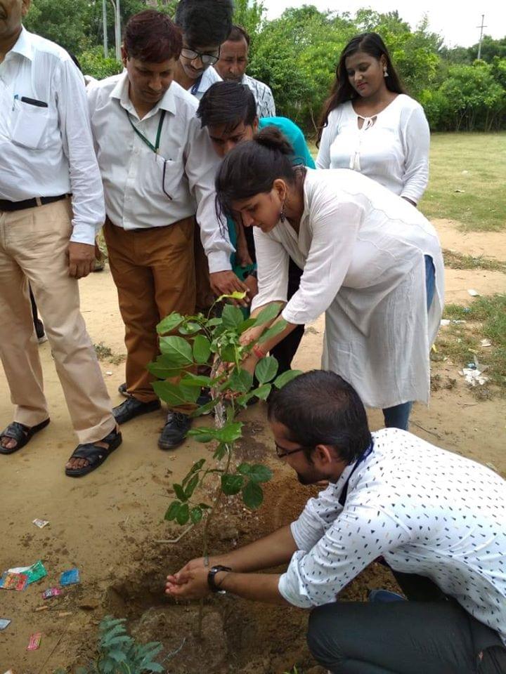 NIET Noida Plantation photo 9