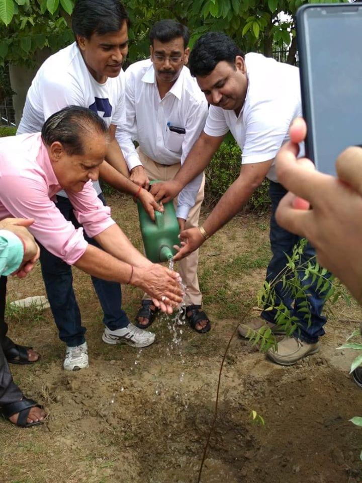 NIET Noida Plantation photo 10
