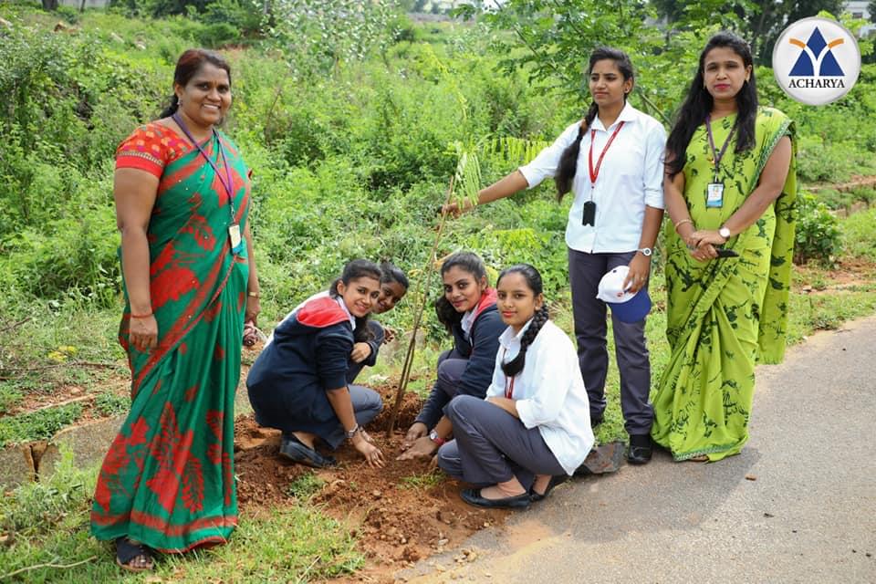 Acharya Institute of Technology Bangalore Plantation photo 2