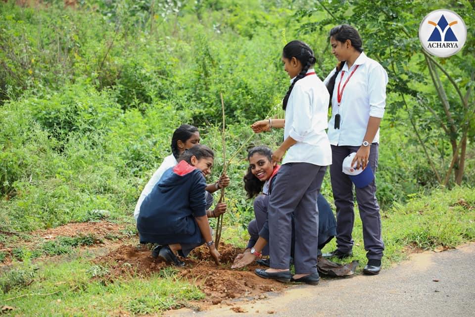 Acharya Institute of Technology Bangalore Plantation photo 6