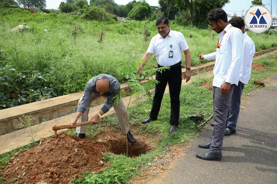 Acharya Institute of Technology Bangalore Plantation photo 7