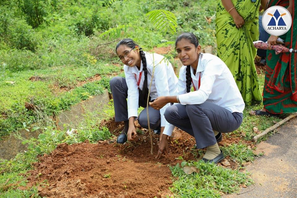 Acharya Institute of Technology Bangalore Plantation photo 8