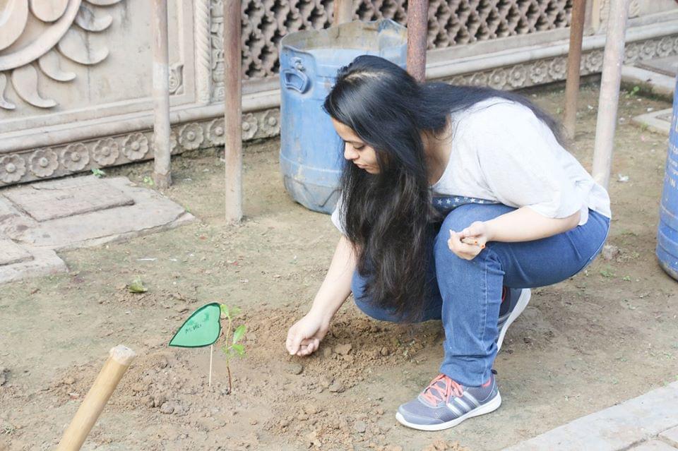 FORE School of Management Plantation photo 10