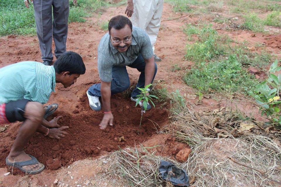 IIIT Bhubaneswar Plantation photo 2