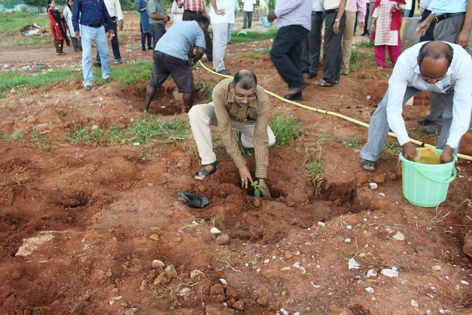 IIIT Bhubaneswar Plantation photo 4