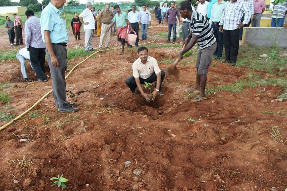 IIIT Bhubaneswar Plantation photo 7