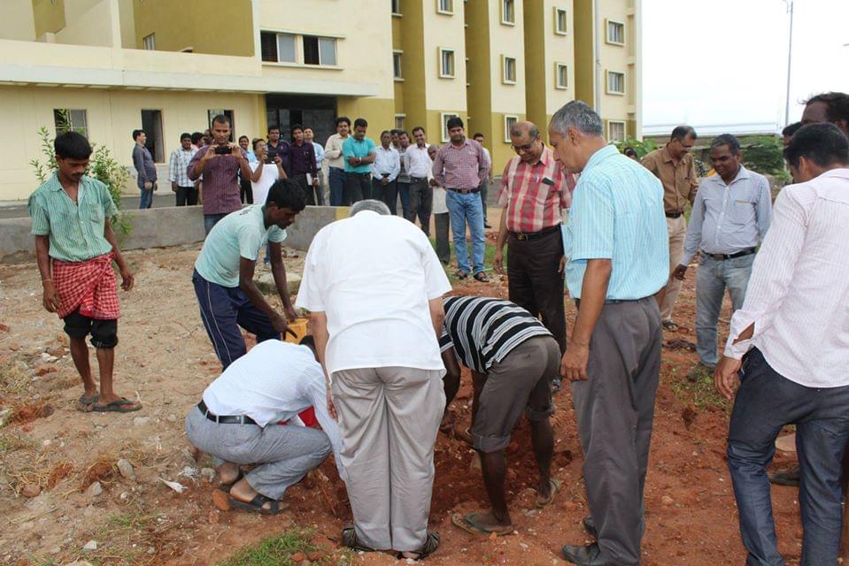 IIIT Bhubaneswar Plantation photo 9