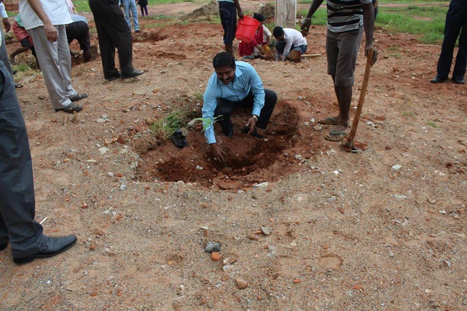 IIIT Bhubaneswar Plantation photo 10