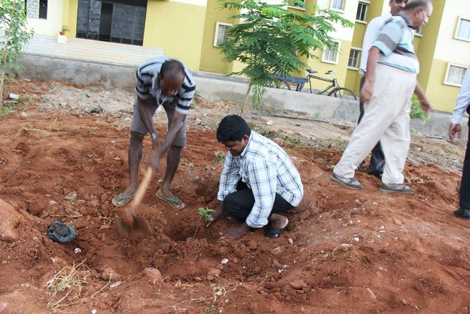 IIIT Bhubaneswar Plantation photo 14