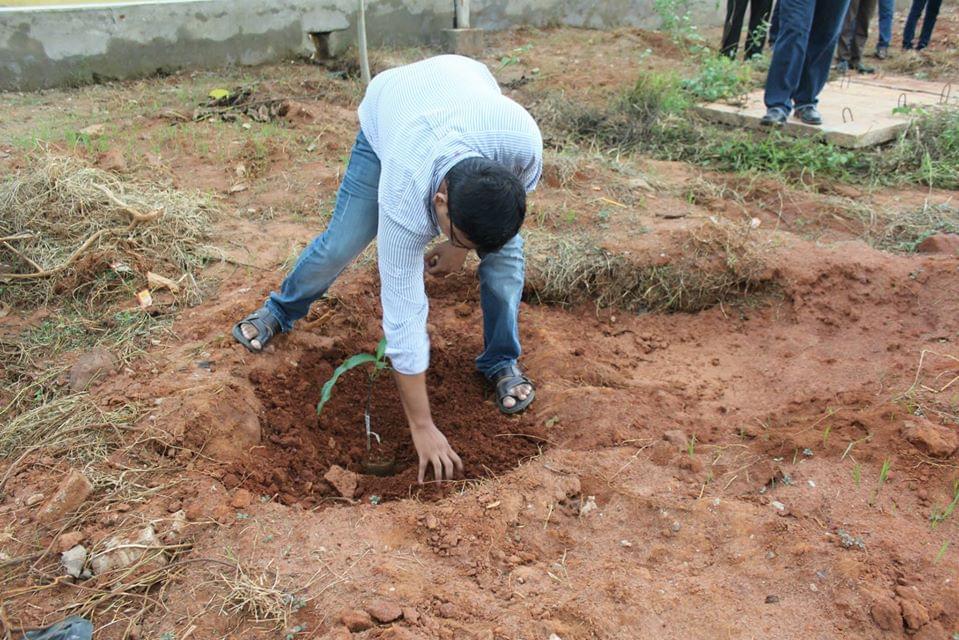 IIIT Bhubaneswar Plantation photo 17