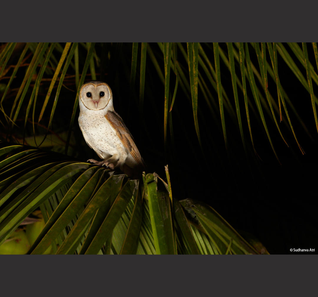 Light and Life Academy Ooty Student Work photo 3