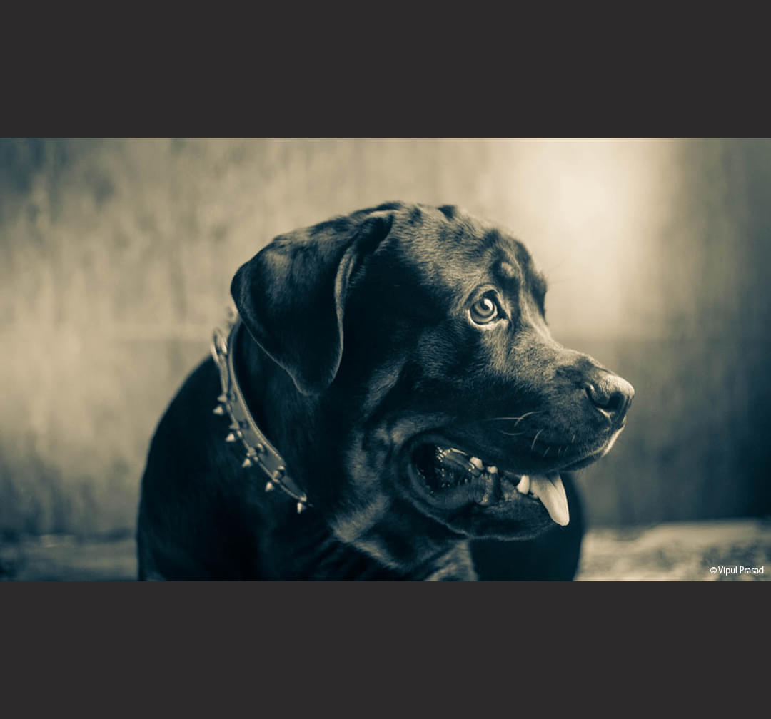 Light and Life Academy Ooty Student Work photo 4