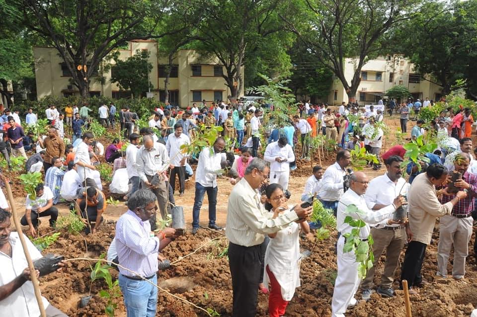 NIT Warangal Plantation photo 1