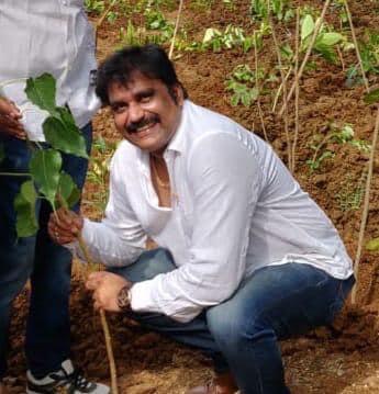 NIT Warangal Plantation photo 2