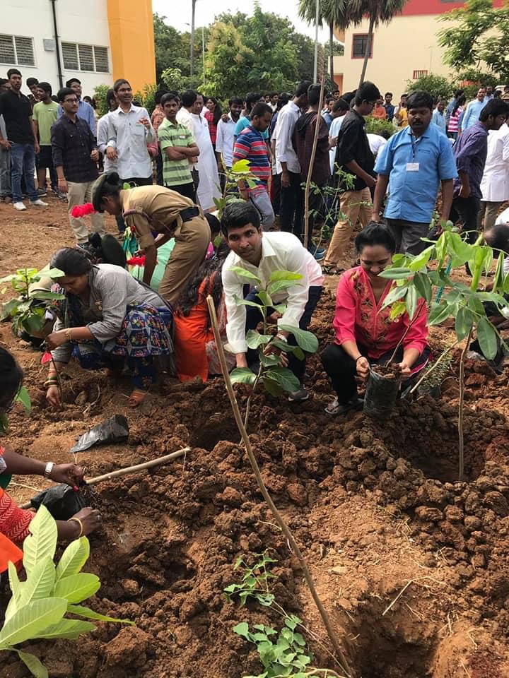 NIT Warangal Plantation photo 3