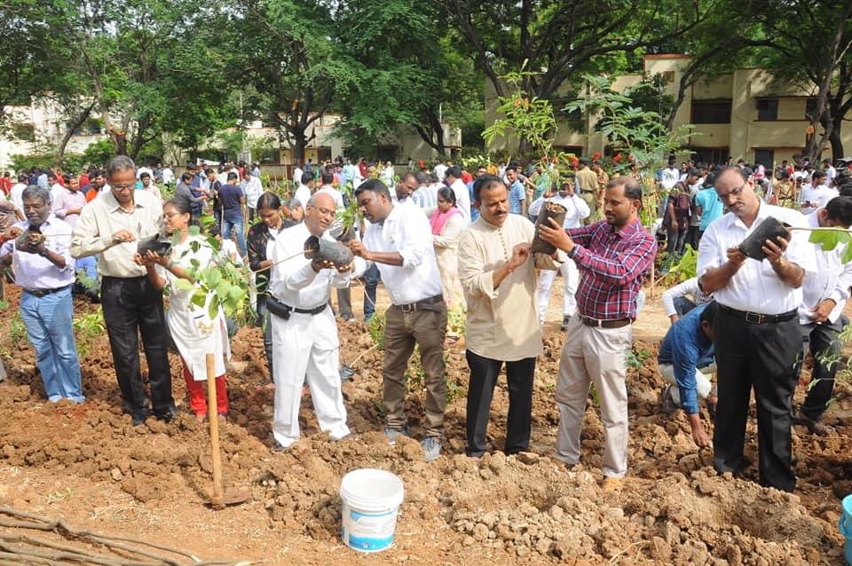NIT Warangal Plantation photo 5